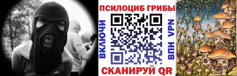 Галлюциногенные грибы Psilocybe  kraken tor  Орлов 